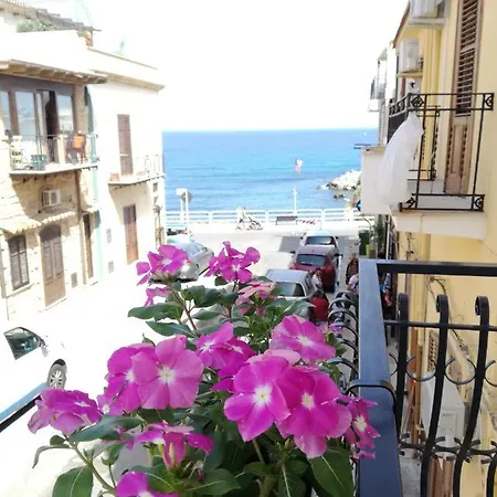 Terra Sinus Beautiful Terrasini